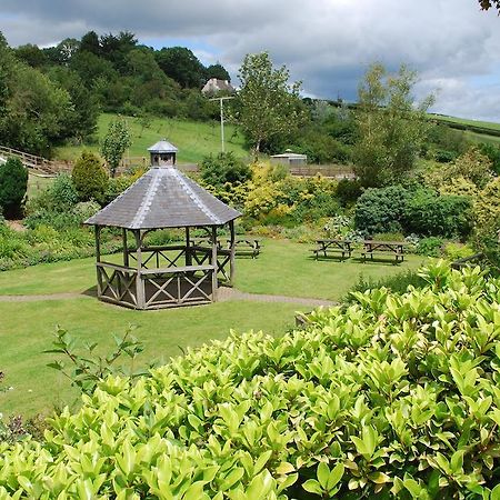 The Waie Inn Copplestone Luaran gambar